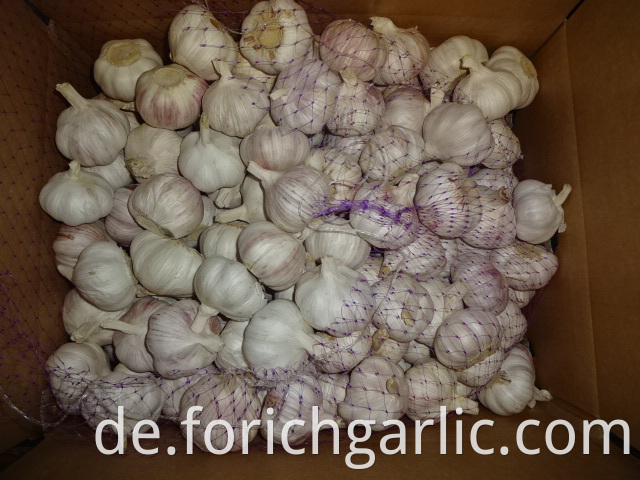 Best Quality Normal White Garlic